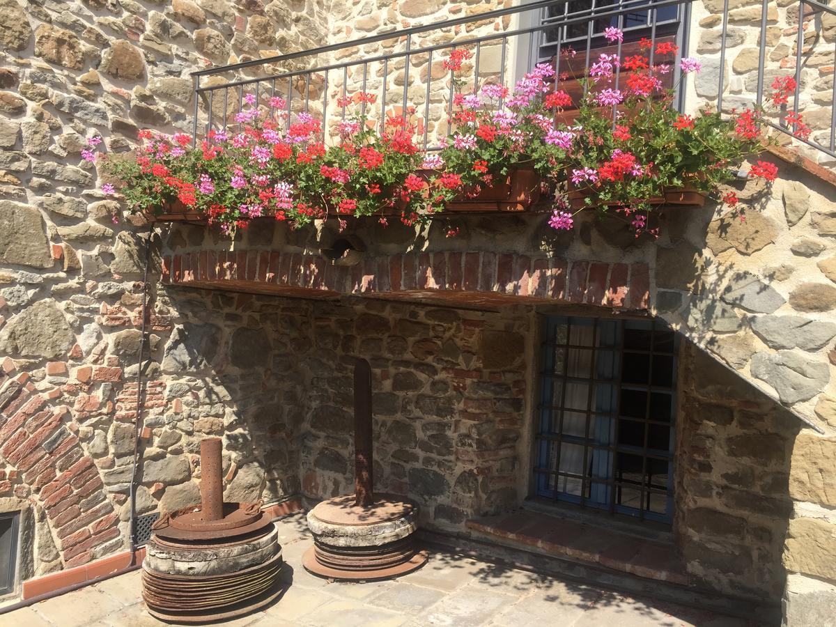 Podere Jana Antico Frantoio Vinci Exterior photo